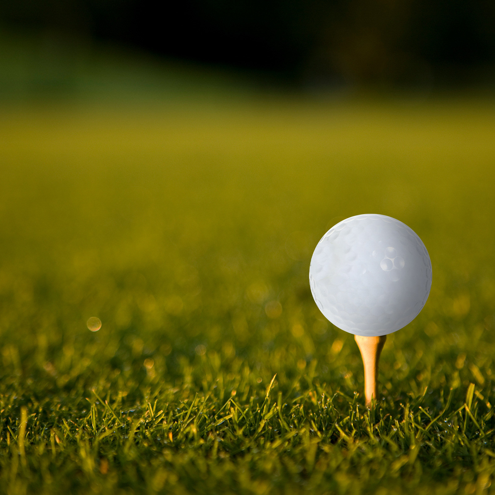 Indoor Practice Golf Balls Equ - огляд і ціна Golf Equipment For Beginners
